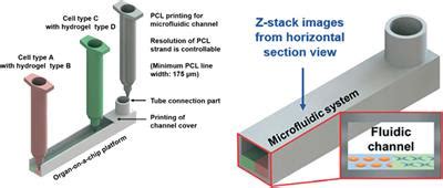 Frontiers Recent Advances In Additive Manufacturing And 3D