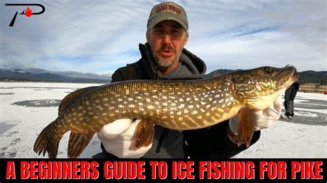 A Beginners Guide To Ice Fishing For Pike Youtube