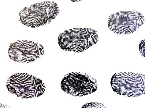 4 Main Types Of Fingerprints