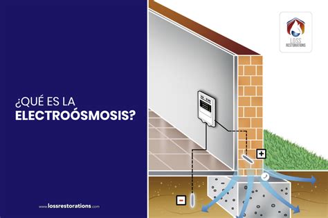 Usa herramientas de electroósmosis y evita daños por el agua