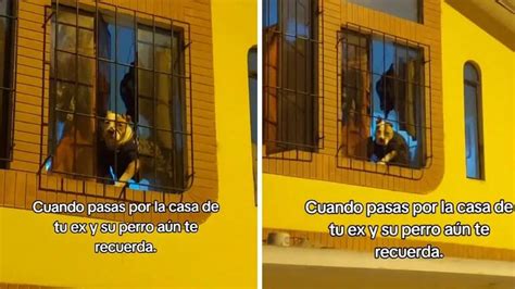 Pasó Por El Frente De La Casa De Su Ex Y La Reacción Del Perro