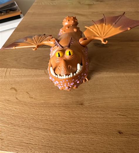 Drache von Drachen zähmen leicht gemacht Kaufen auf Ricardo