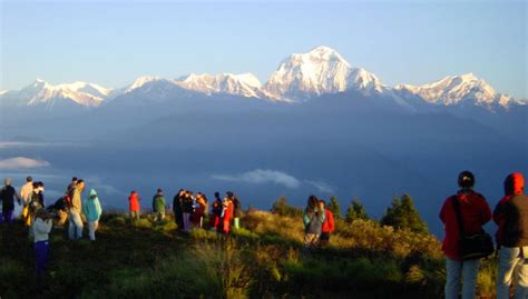 Ghorepani Poon Hill Trek