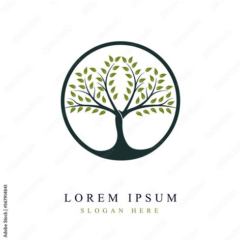 Tree Logo Design In Vivid Circle Tree Vector Tree Of Life Logo Design