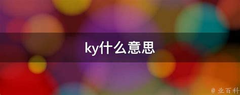 Ky什么意思 业百科