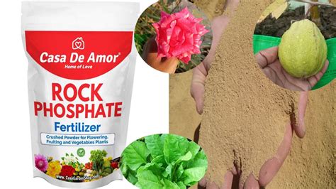 Organic Rock Phosphate How To Use Rock Phosphate In Garden Organic Fertilizer For Plants