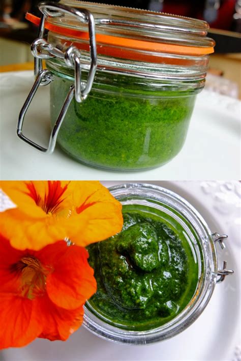 Nasturtium Pesto An Easy Recipe For Nasturtium Leaf Pesto