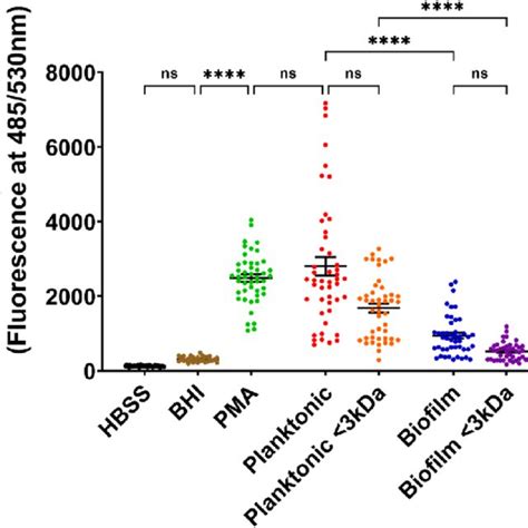 Neutrophil Ros Production In Response To Exposure To Bacterial Ecfs Download Scientific