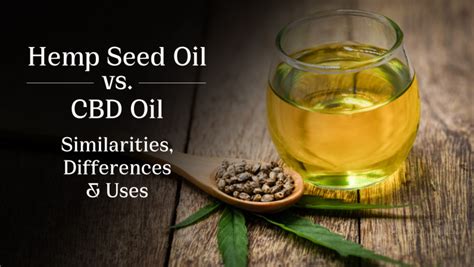 Hemp Seed Oil Vs Cbd Oil Similarities Differences And Uses Explained My Local Cbd Stores