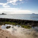 Viajar en Crucero a las Islas Galápagos desde Baréin