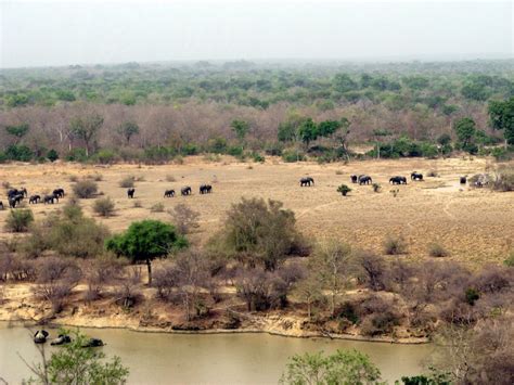 Mole National Park – GO2GHANA