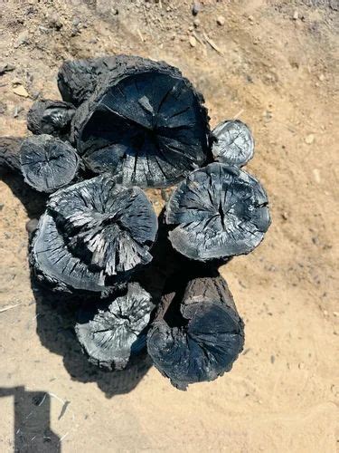 Dry Hard Wood Charcoal For Burning At Rs 25 Kilogram In Ajmer ID