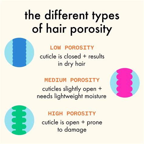 Ten Tips To Improve Your Hairs Porosity The Shade