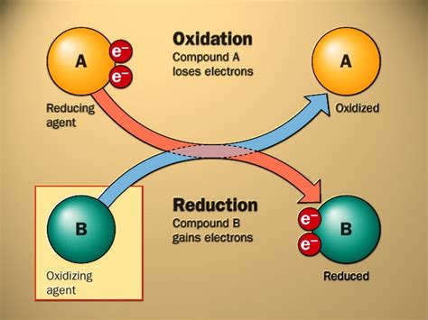 Temas Selectos De Biofisica Reacciones Redox