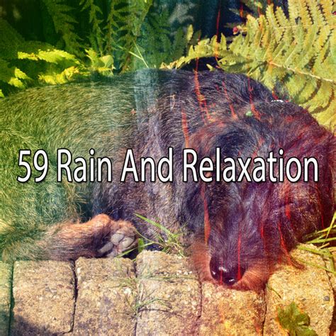 59 Rain And Relaxation Album By Sleep Makers Samples Spotify