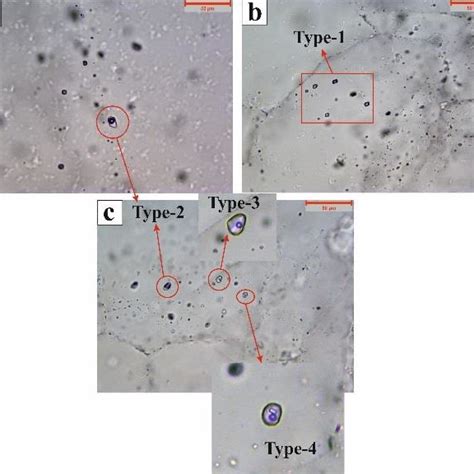 Photomicrographs Of Different Types Of Primary Fluid Inclusions