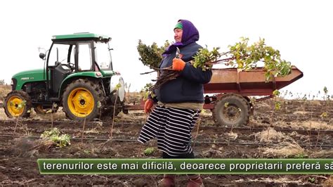 AGRO TV News 07 04 2020 YouTube