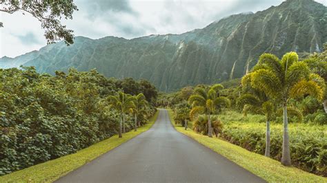 Nature Landscape Road Trees Grass Plants Mountains Clouds Oahu