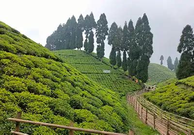 Darjeeling Itinerary For Days Nexplore Travel