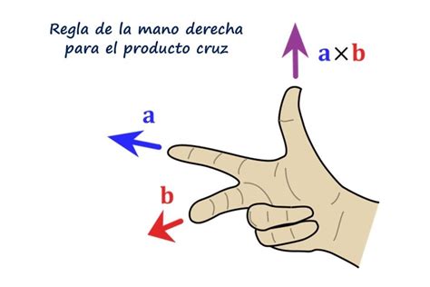 Producto cruz qué es propiedades ejemplo ejercicio resuelto