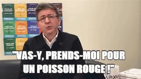 Melenchon Poisson Melenchon Poisson Discover Share GIFs