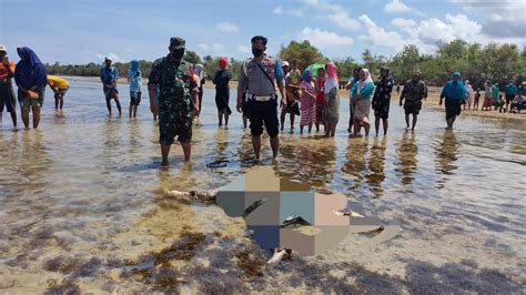 Penemuan Mayat Di Pesisir Pantai Tanpa Identitas