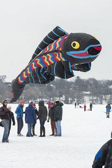 Lake Harriet Winter Kite Festival | Kite festival, Go fly a kite, Kite