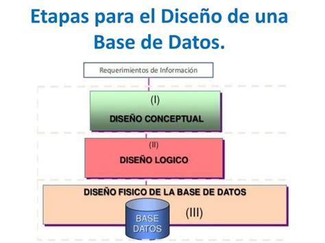 Etapas En El Diseño De Base De Datos