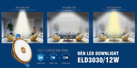 Phân biệt đèn Downlight và Spotlight có gì khác nhau