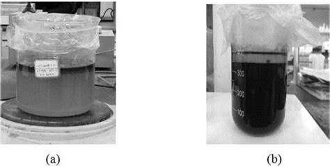 活性炭负载四磺酸基酞菁钴及其作为催化剂在制备二甲基二硫醚中的应用的制作方法2