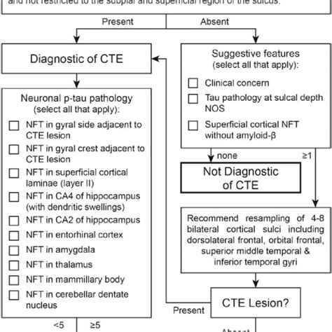 Working Protocol For The Diagnosis Of Chronic Traumatic Encephalopathy