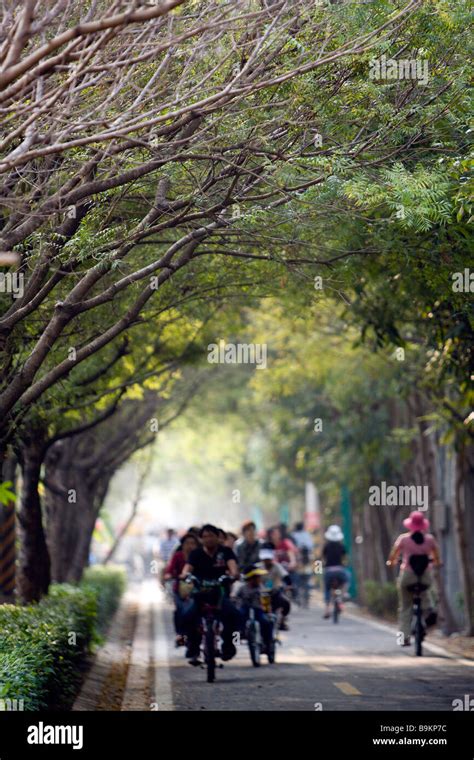 Green Bikeway Tree Tunnel Hou Feng Bike Path Fengyuan District