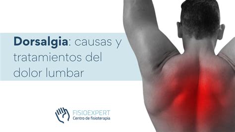 Dorsalgia Causas Y Tratamiento Centro De Fisioterapia Fisioexpert