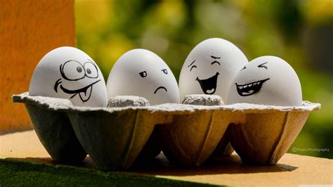 Download Eggs In A Tray With Cartoon Faces Wallpaper