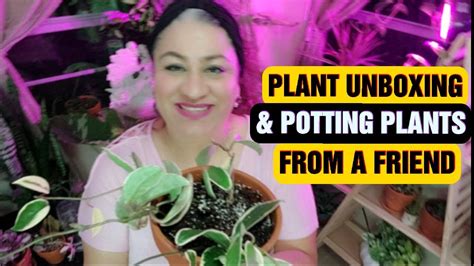 Plant Unboxing Potting Plants From A Friend Youtube