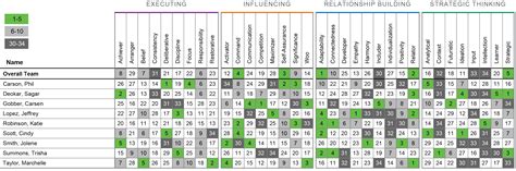 cliftonstrengths strengthsfinder team grid strengths navigator