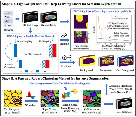 Dcellseg A Two Stage Light Weight Fast And Robust Pipeline For D