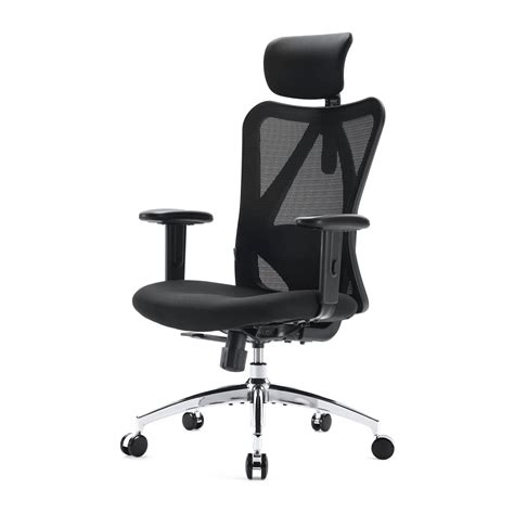 Buy SIHOO M18 Ergonomic Office Chair Computer High Back Desk Chair