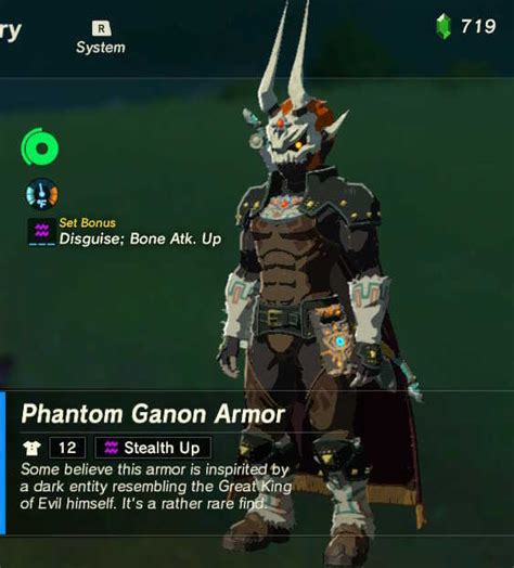 Jiný Věřící Hroznový Legend Of Zelda Breath Of The Wild Dark Armor