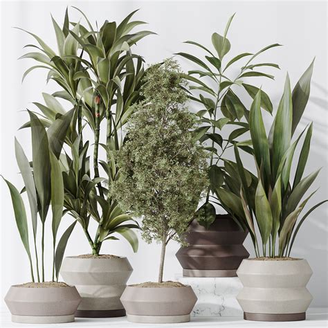 ArtStation - Indoor plant set 52 | Resources