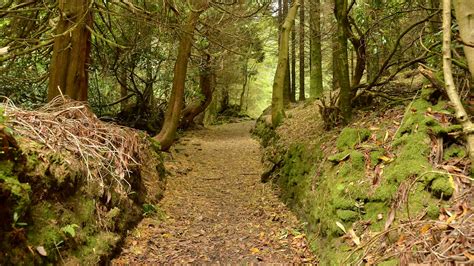 Slieve Bloom Mountains Nature Reserve | | Sights - Lonely Planet