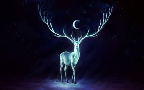 deer-at-night | The Jester's Corner