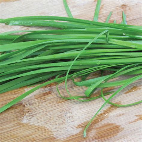 chives allied botanical corporation