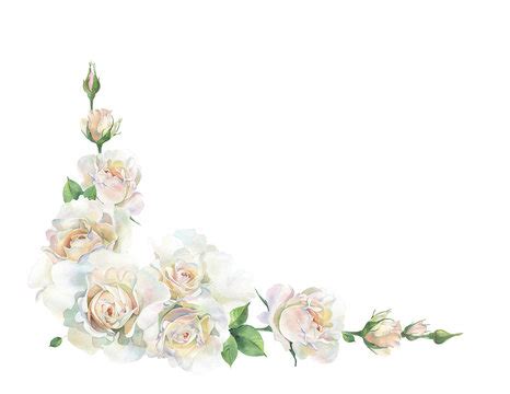 White Rose Border Frame Transparent PNG Clip Art Gallery, 58% OFF