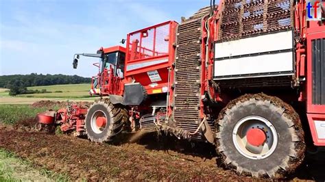 BEET HARVESTER Rübenernter Holmer Terra Dos T3 2013 YouTube