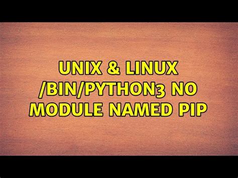 Ubuntu Python No Module Named Pip