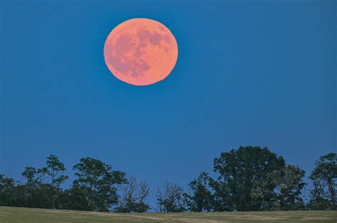 Strawberry Moon Over Germany Fascinating Photos From The June Full