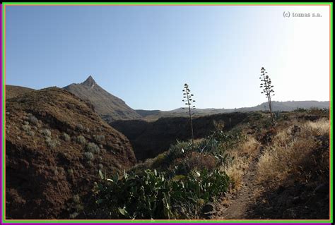 Tenerife Senderos Tenerife Senderos Arona Ladera Norte De