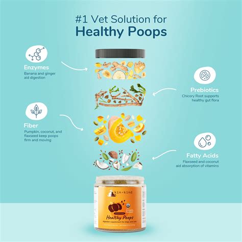 Natural Fiber Supplement For Dogs at Timothy Mears blog