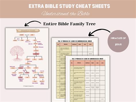 Beginner Bible Study Guide, Inductive Bible Study Guide, Bible Study